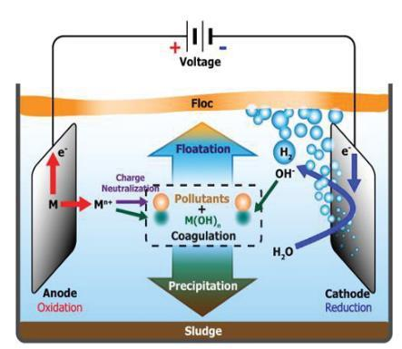 Electro Coagulation System – Irygen